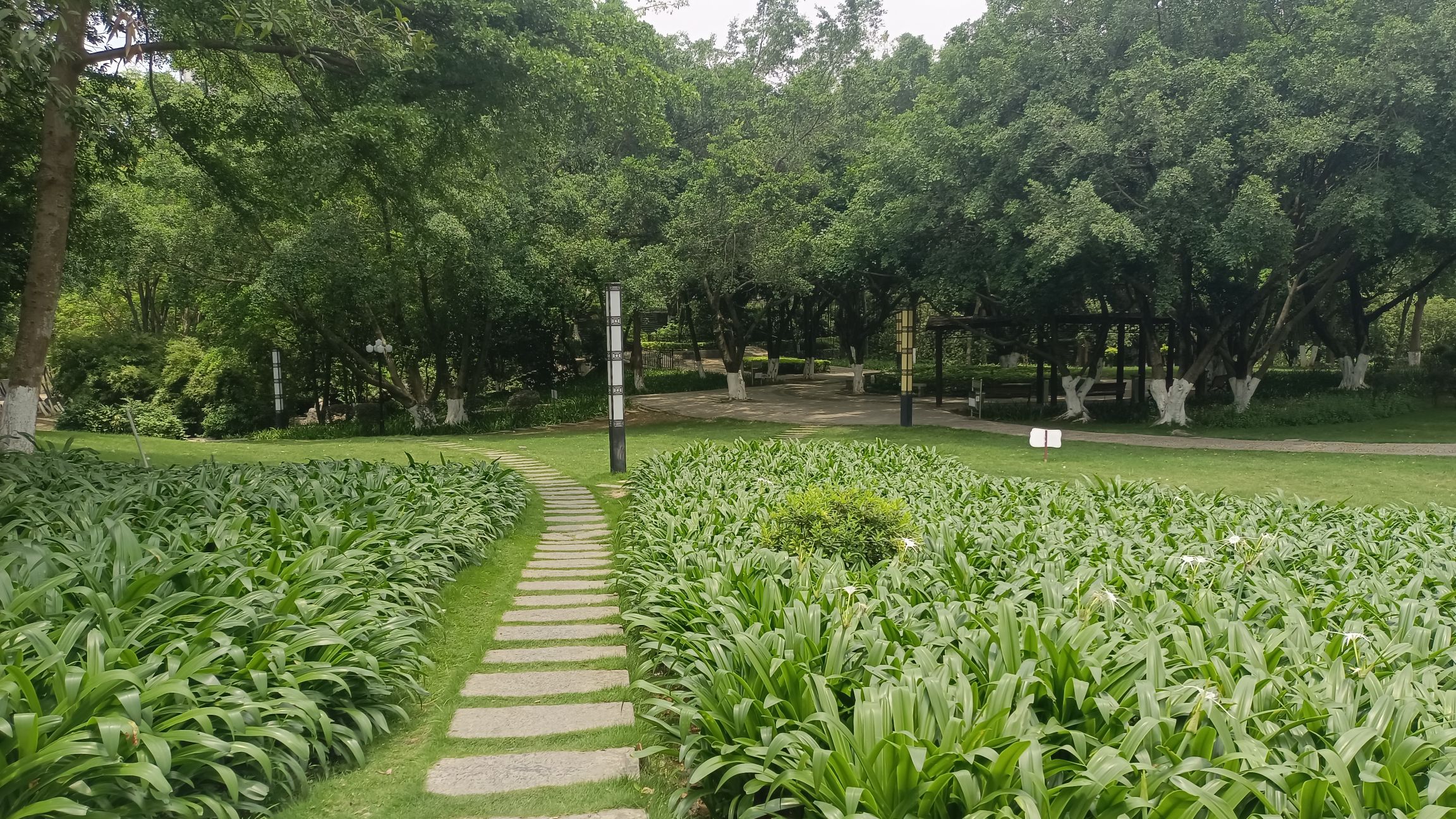 来宾市人民公园