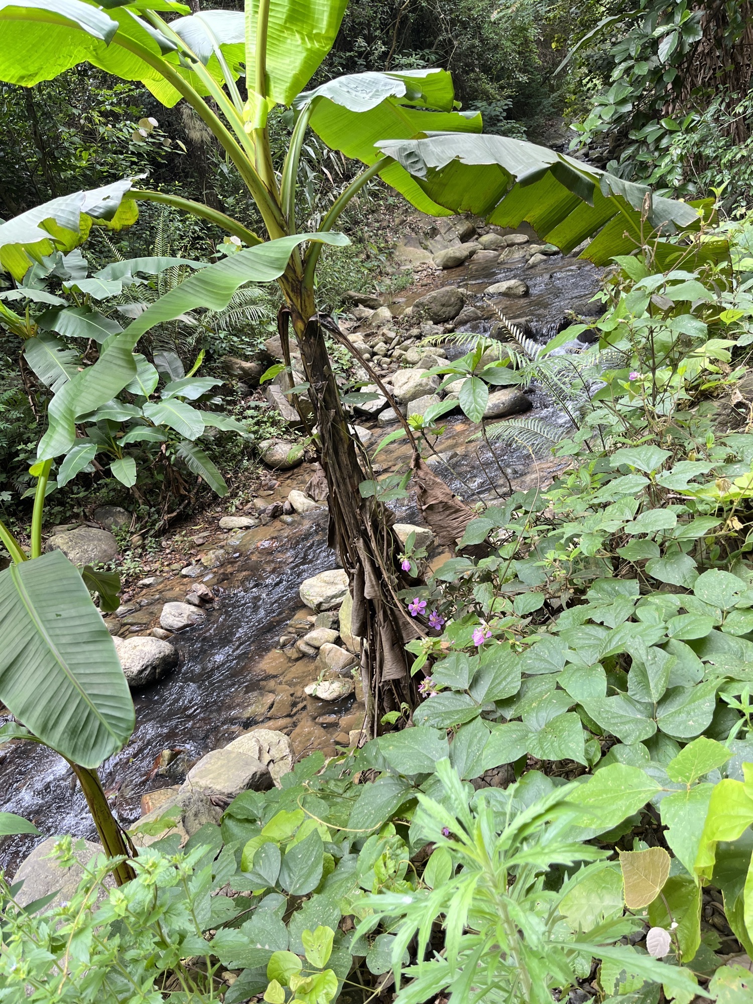 大梭生态峡谷群旅行图片 1
