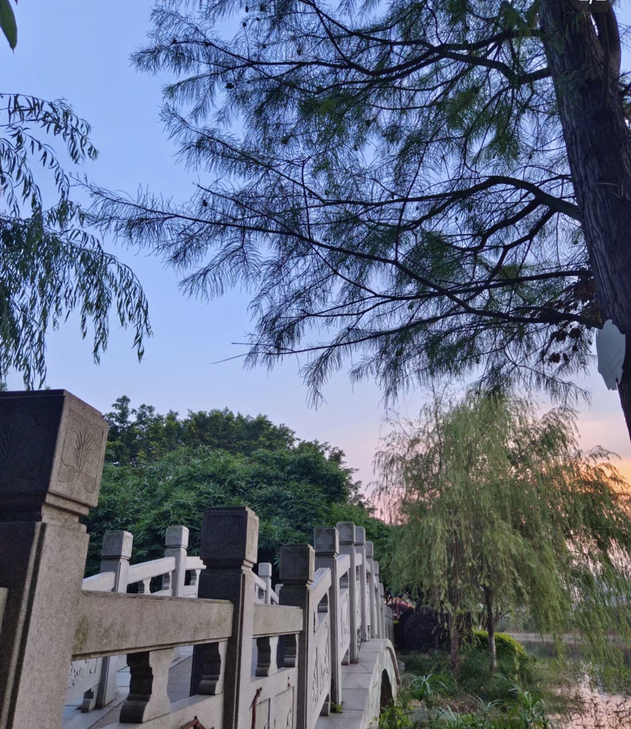 金海公园旅行图片 2