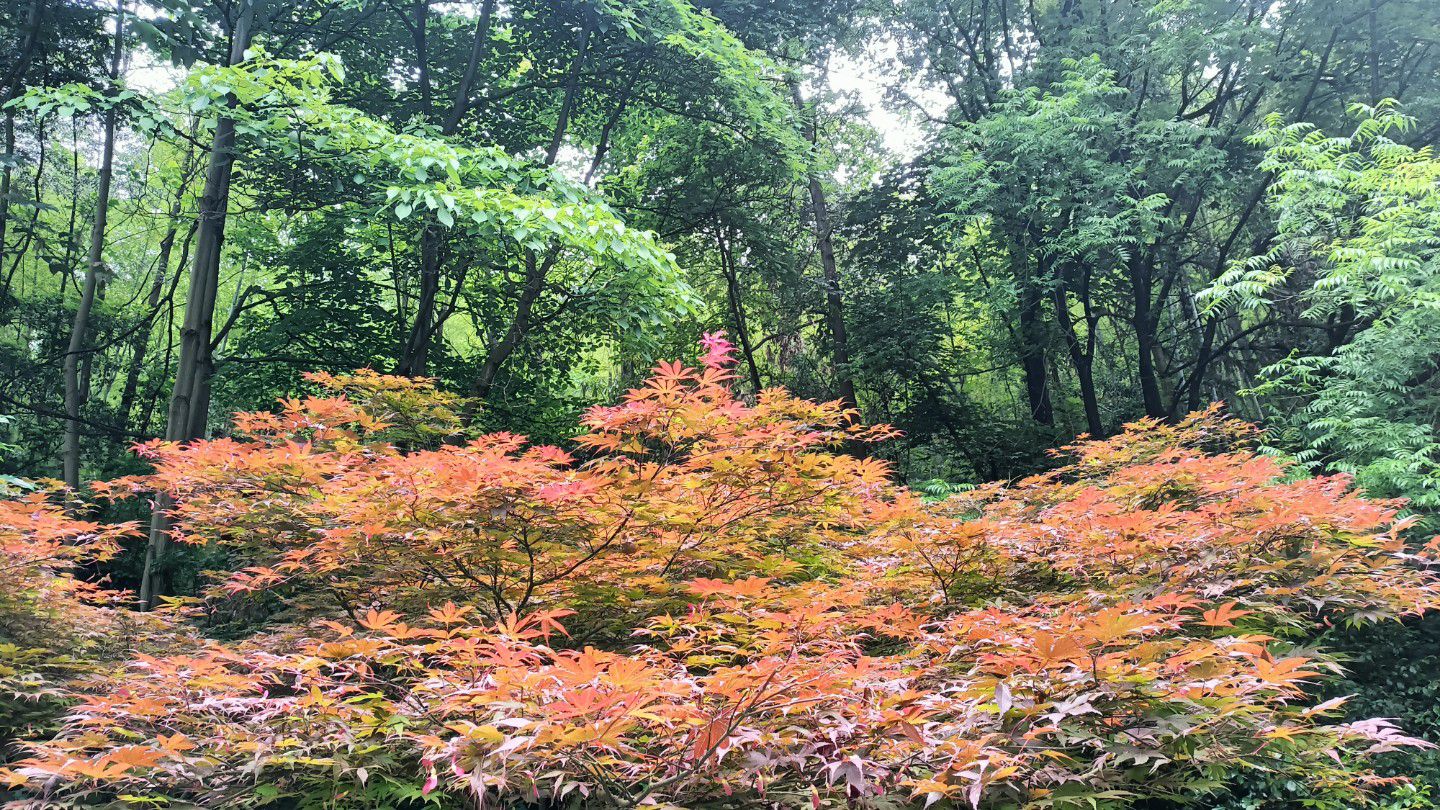 金海公园旅行图片 3