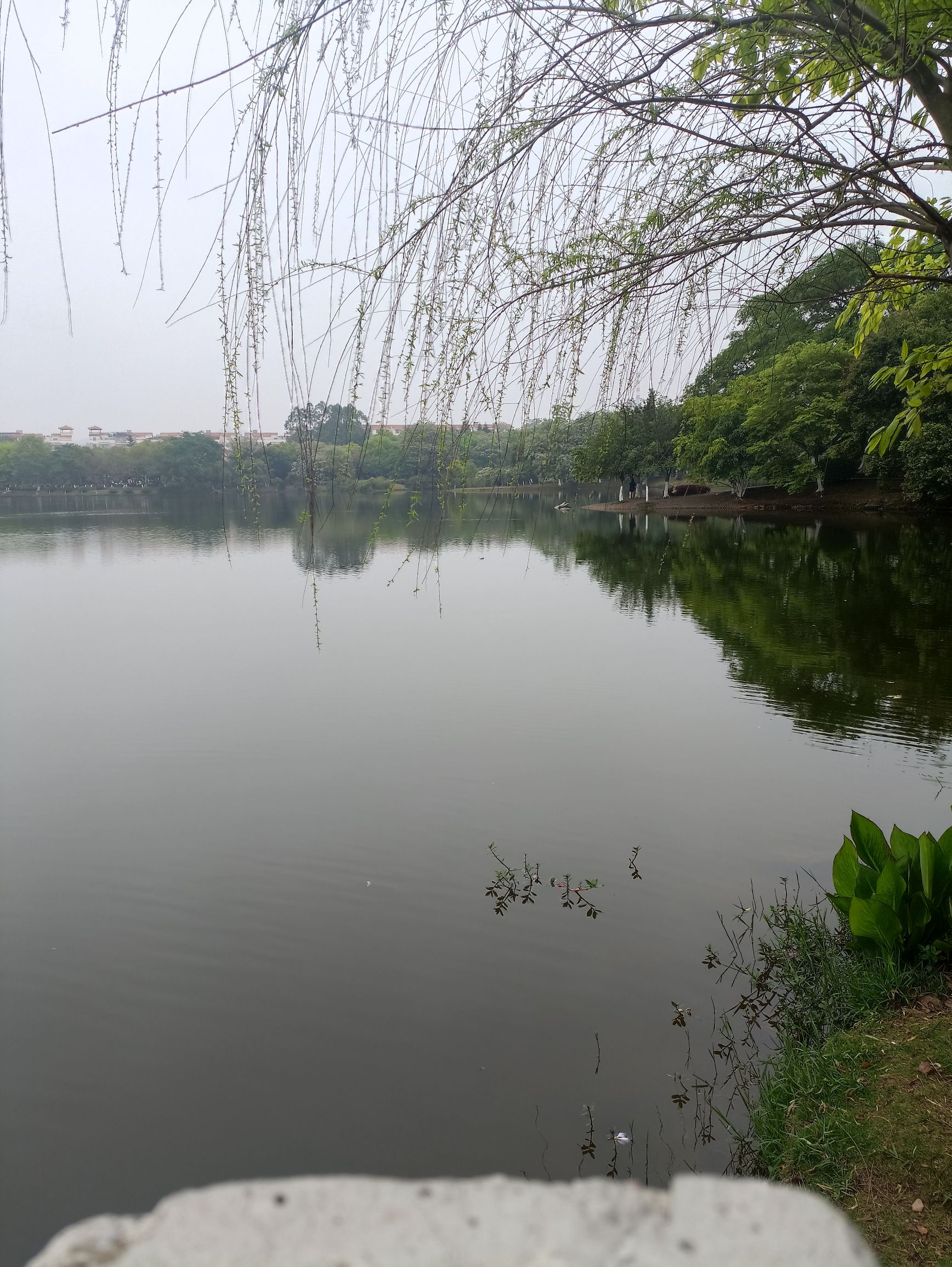金海公园旅行图片 1