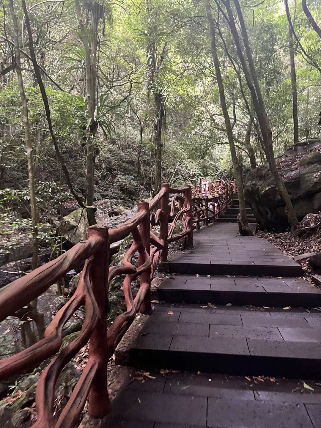 武宣县百崖大峡谷景区旅行图片 3