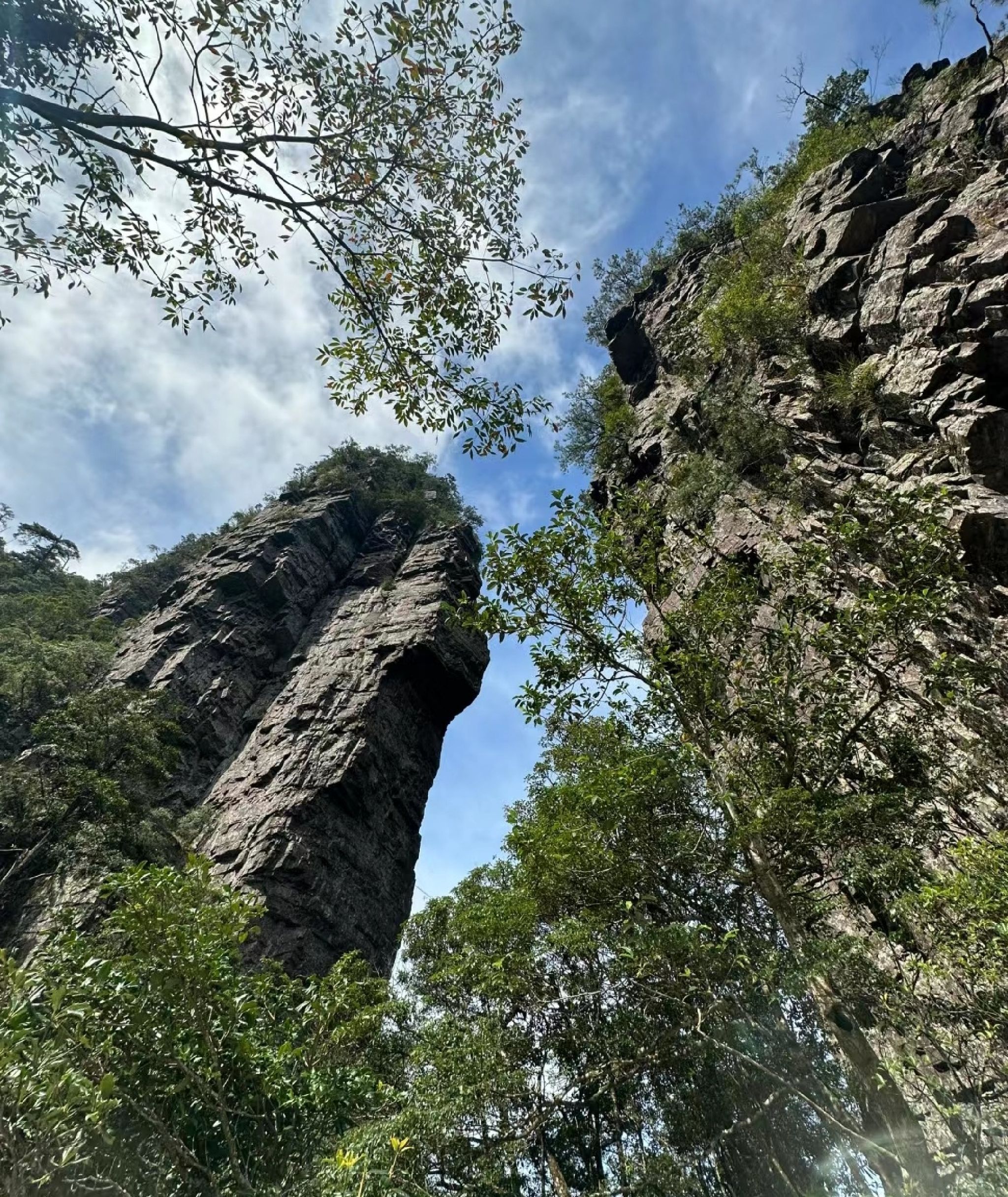 大瑶山盘王界景区旅行图片 2