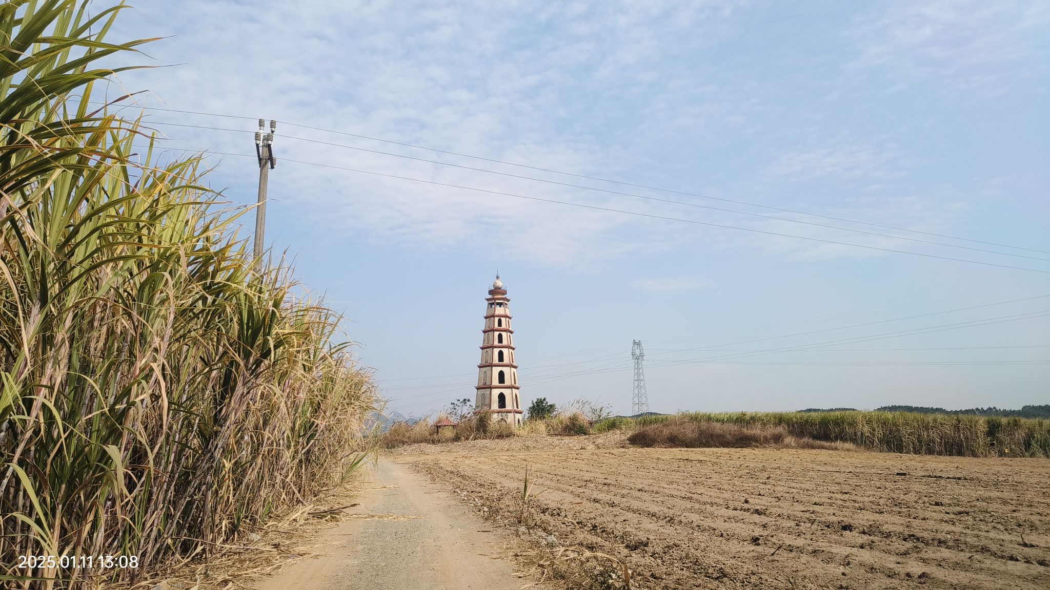 堂龙塔旅行图片 2