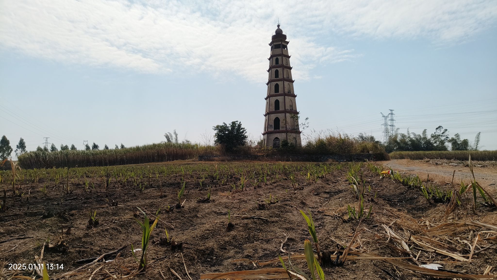 堂龙塔旅行图片 1