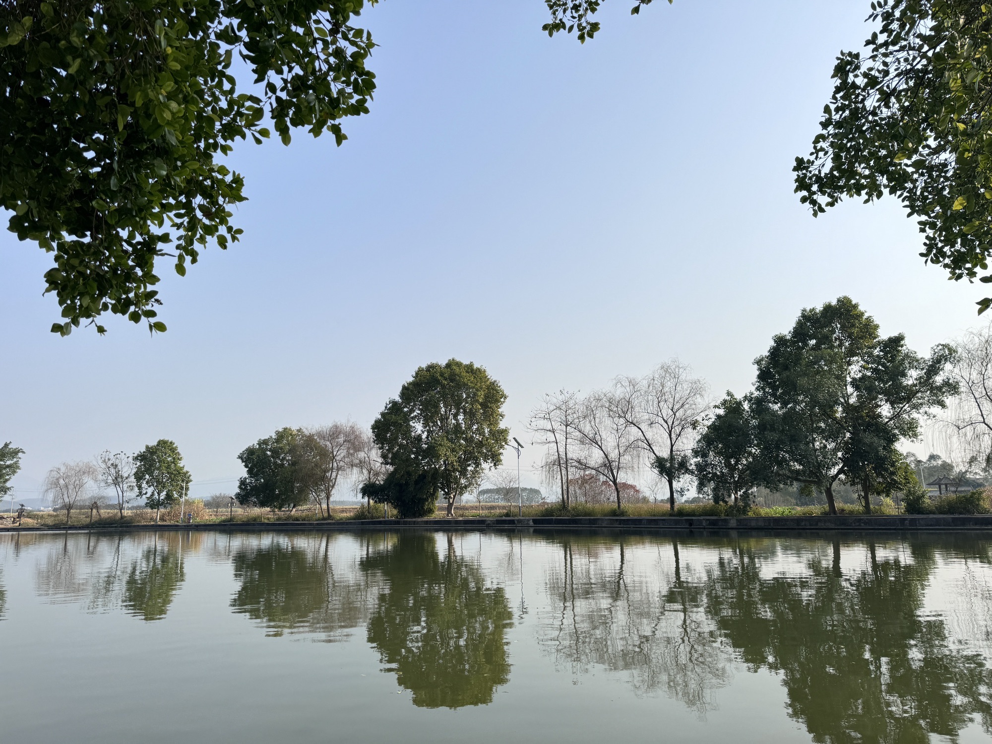 灵湖风景区旅行图片 3