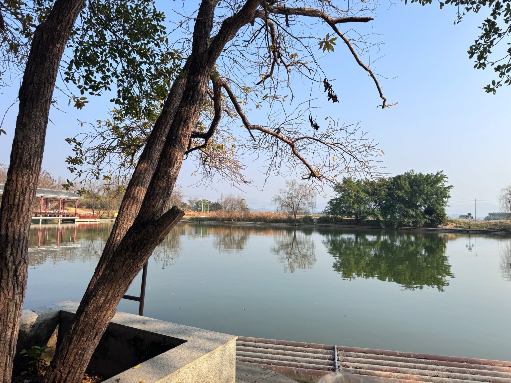 灵湖风景区旅行图片 1
