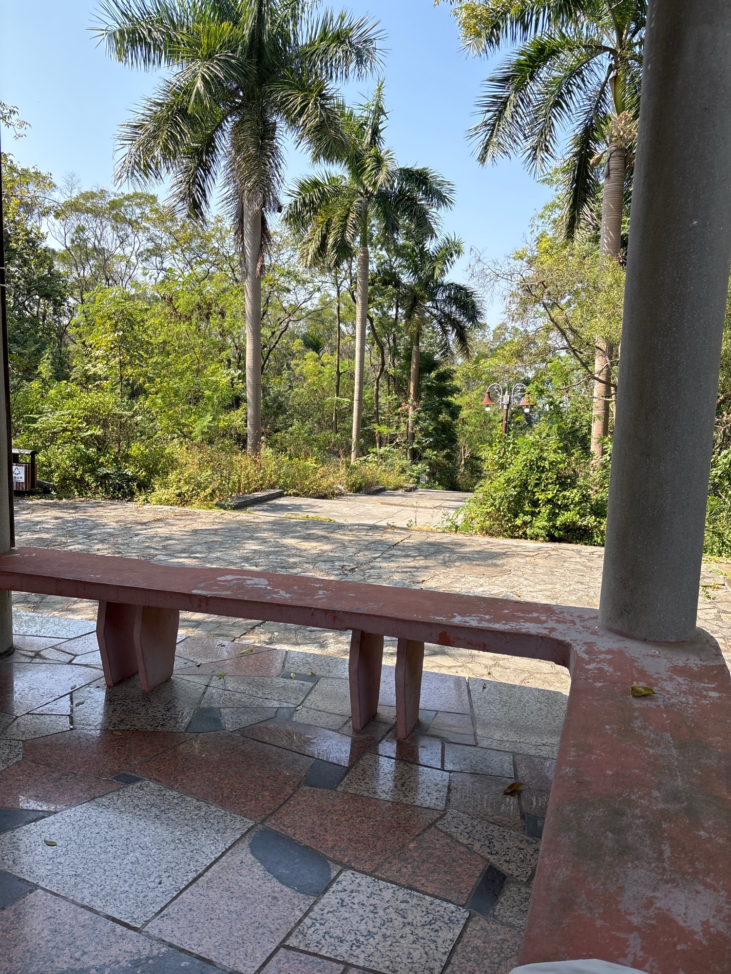 合山市广场公园旅行图片 1