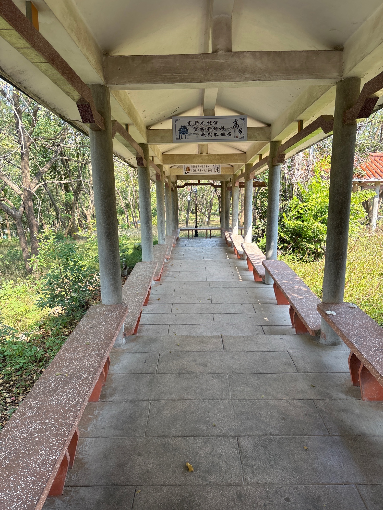合山市广场公园旅行图片 3