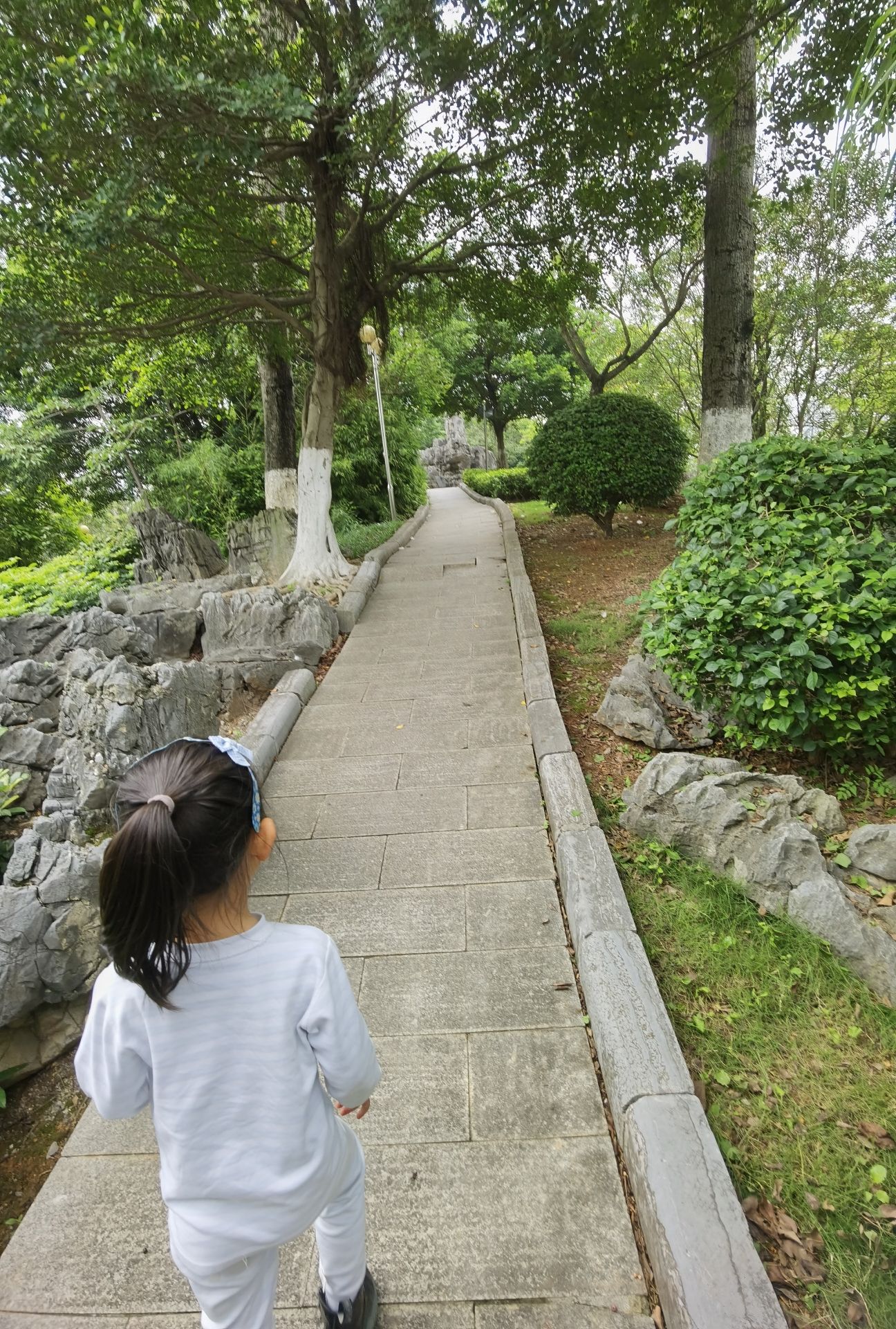 翠屏山公园旅行图片 2