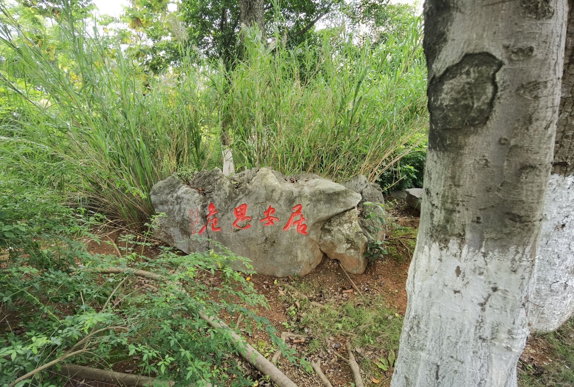翠屏山公园旅行图片 3