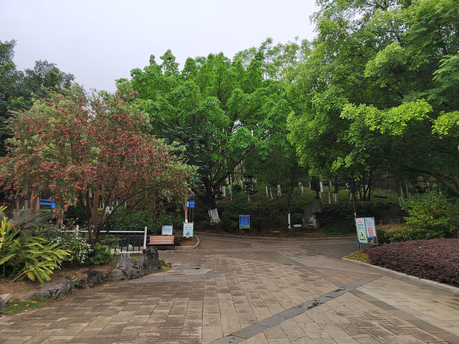 翠屏山公园旅行图片 1