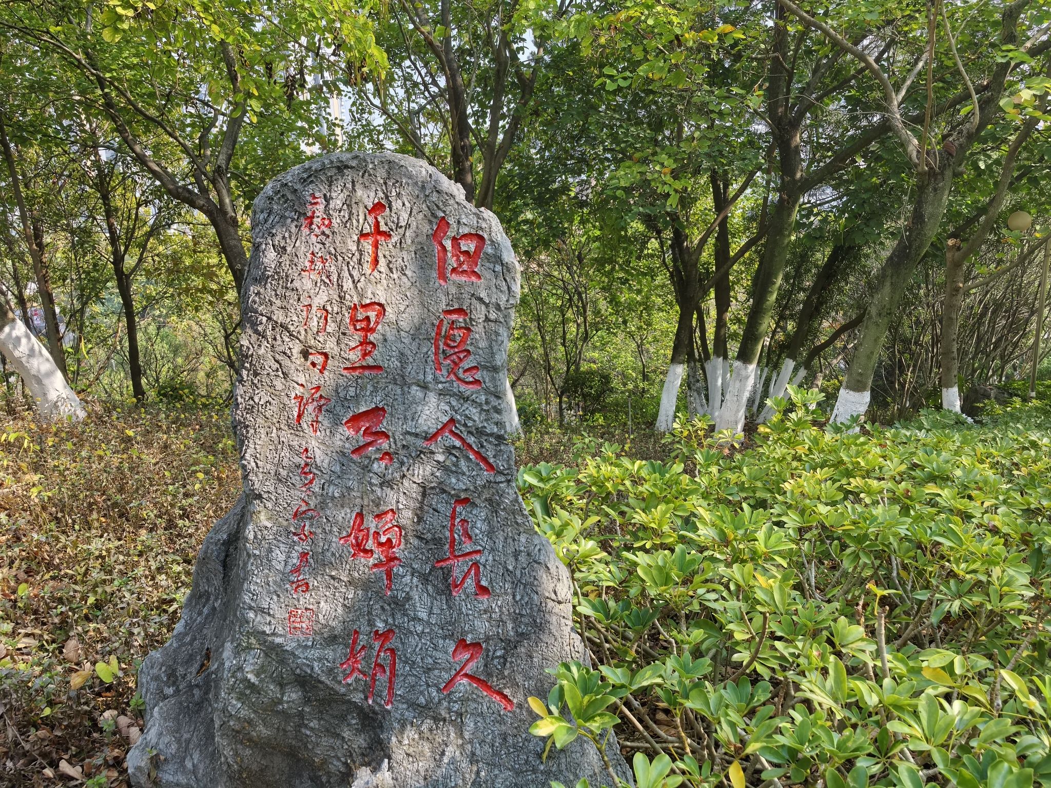 翠屏山公园旅行图片 3