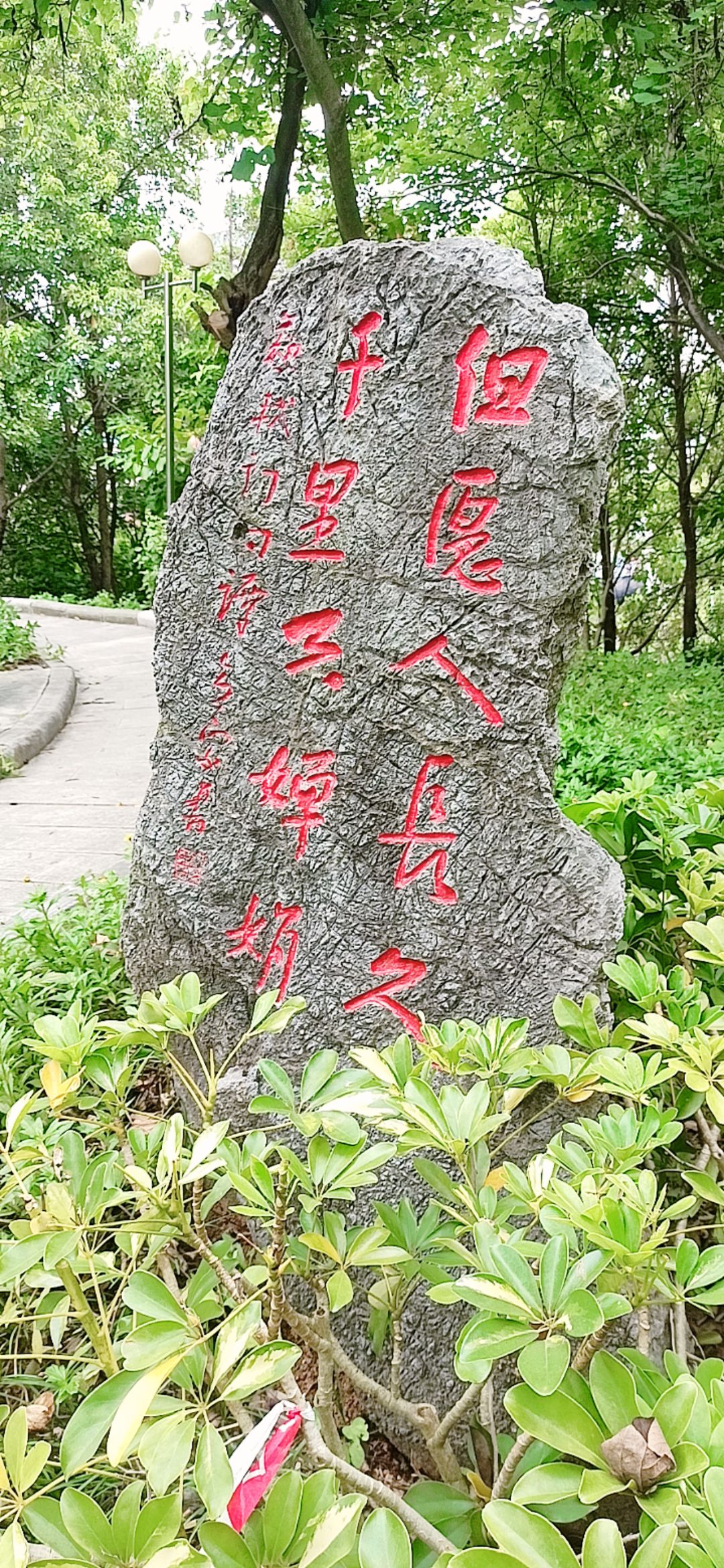 翠屏山公园旅行图片 3