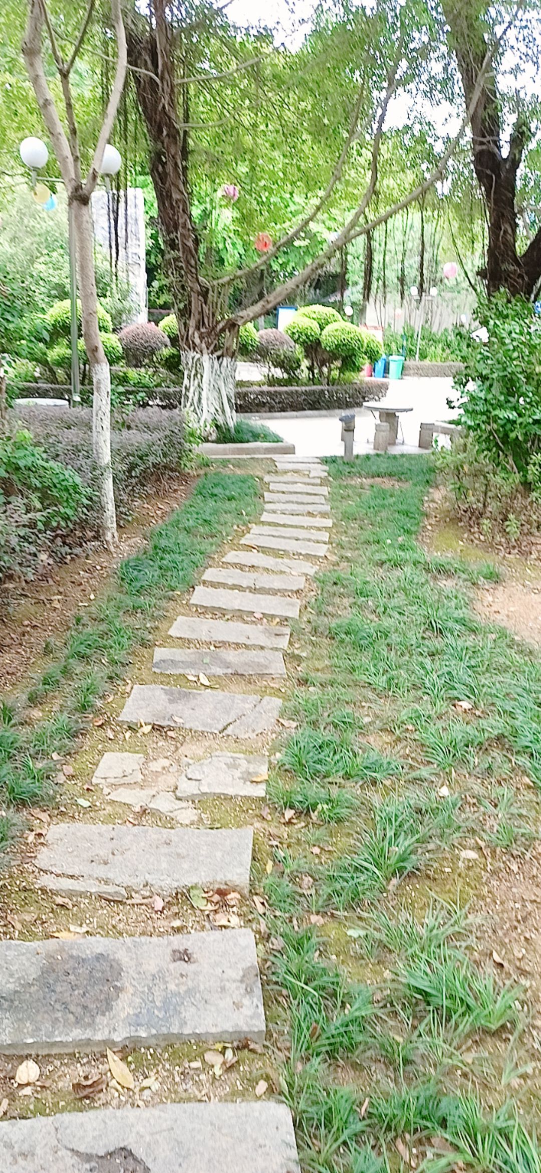 翠屏山公园旅行图片 2