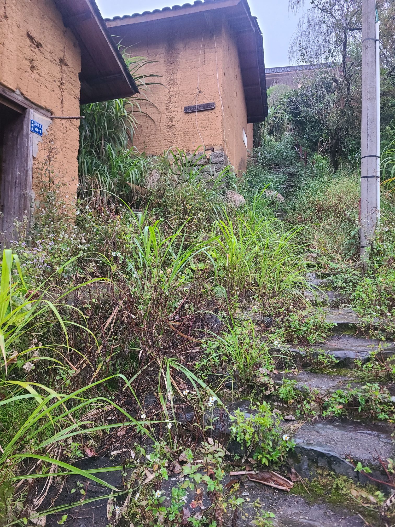 古占瑶寨旅行图片 2