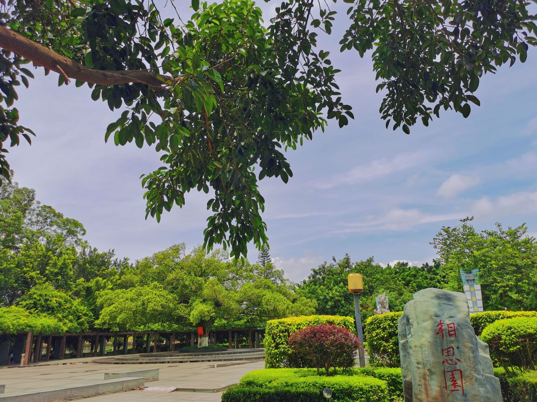 相思园旅行图片 1