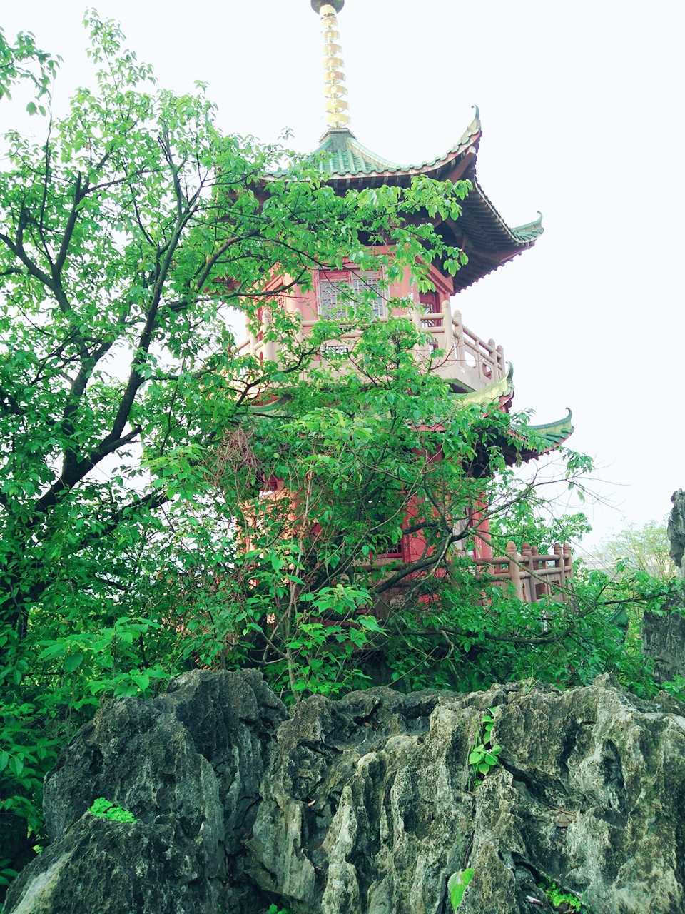 钟山公园旅行图片 1