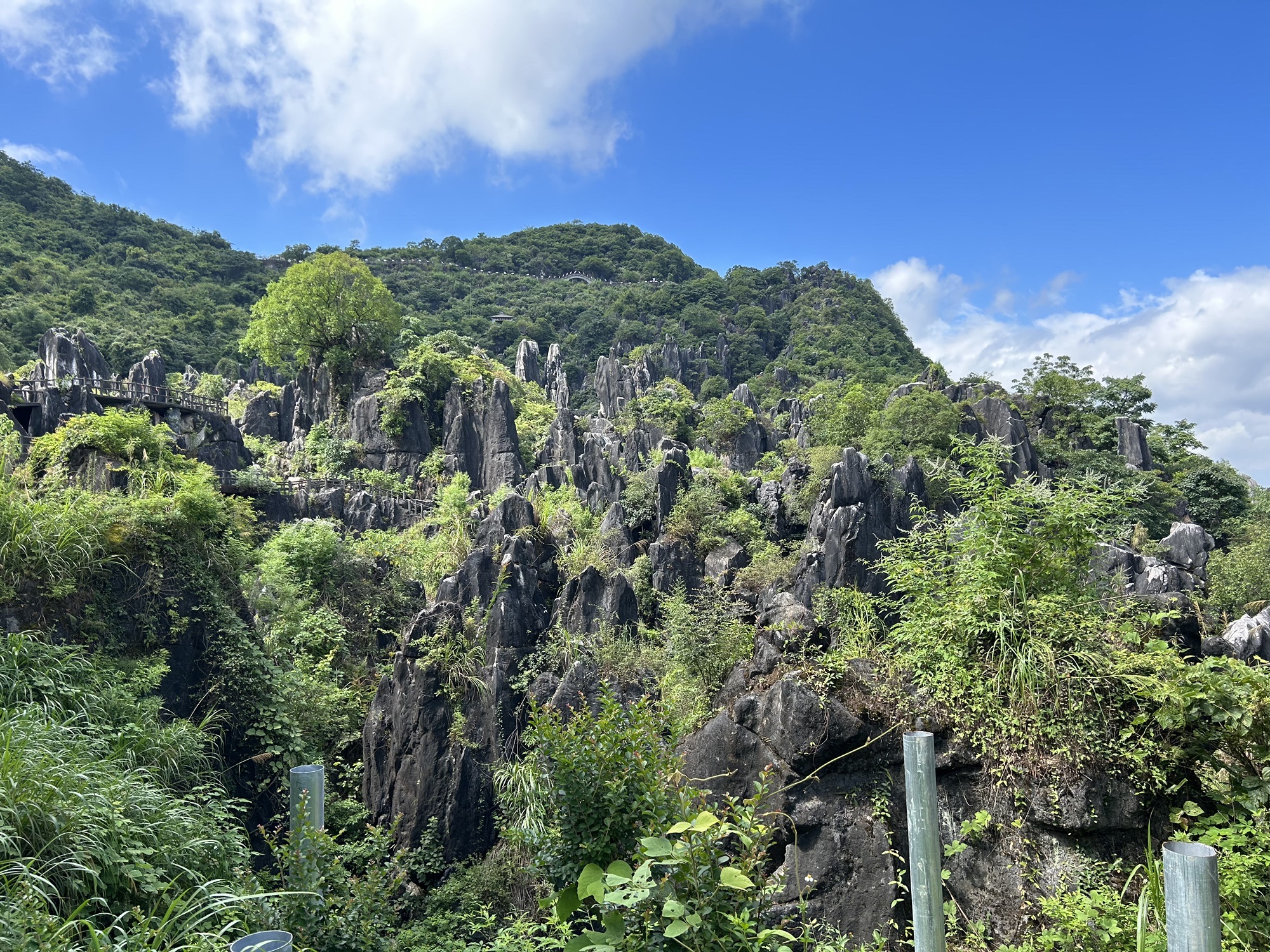 贺州玉石林旅行图片 3