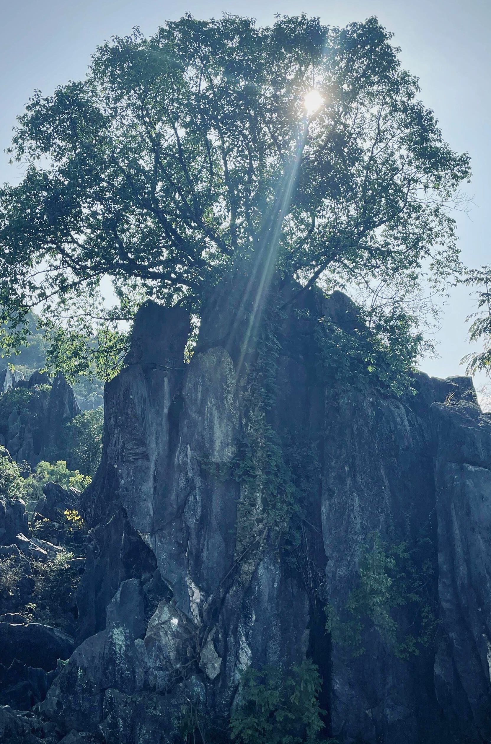 贺州玉石林旅行图片 1
