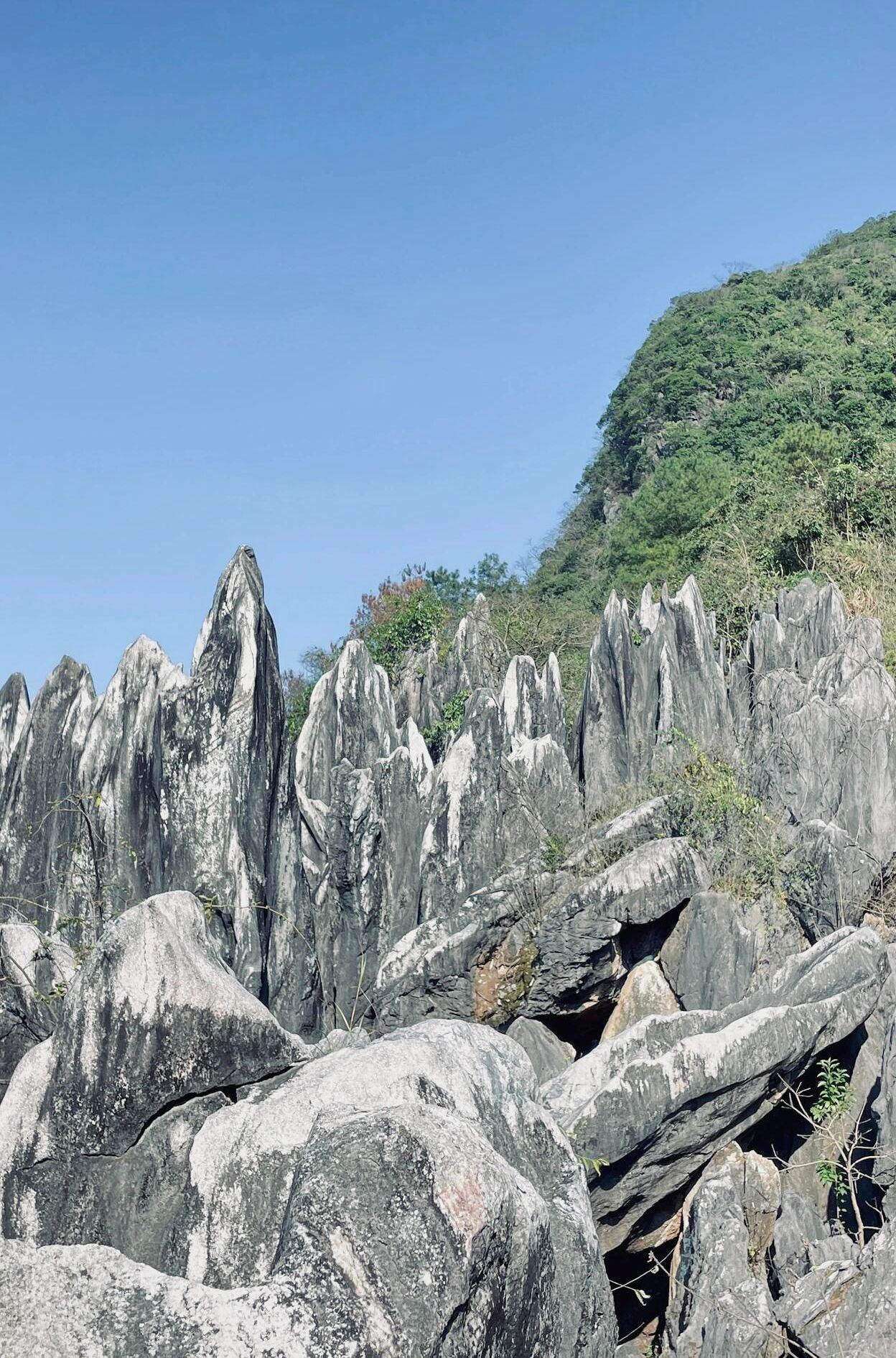 贺州玉石林旅行图片 2