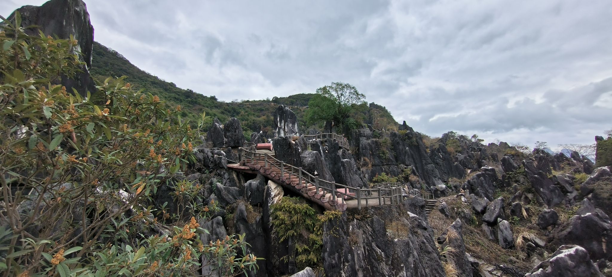 贺州玉石林旅行图片 2