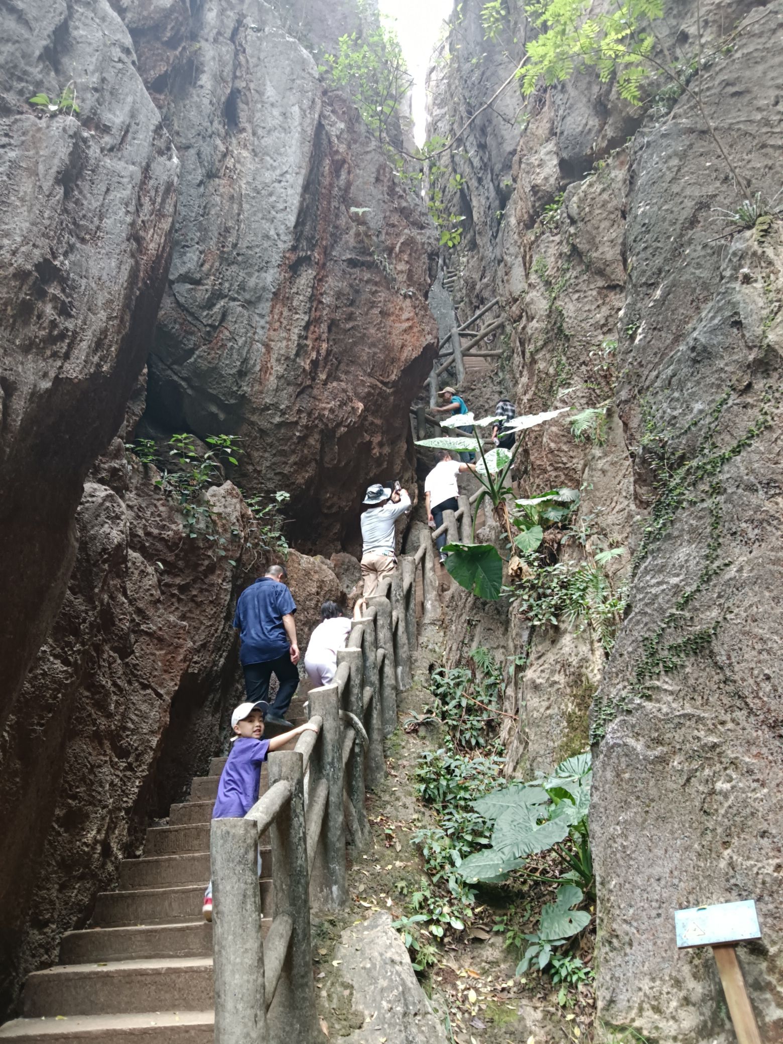 贺州玉石林旅行图片 1