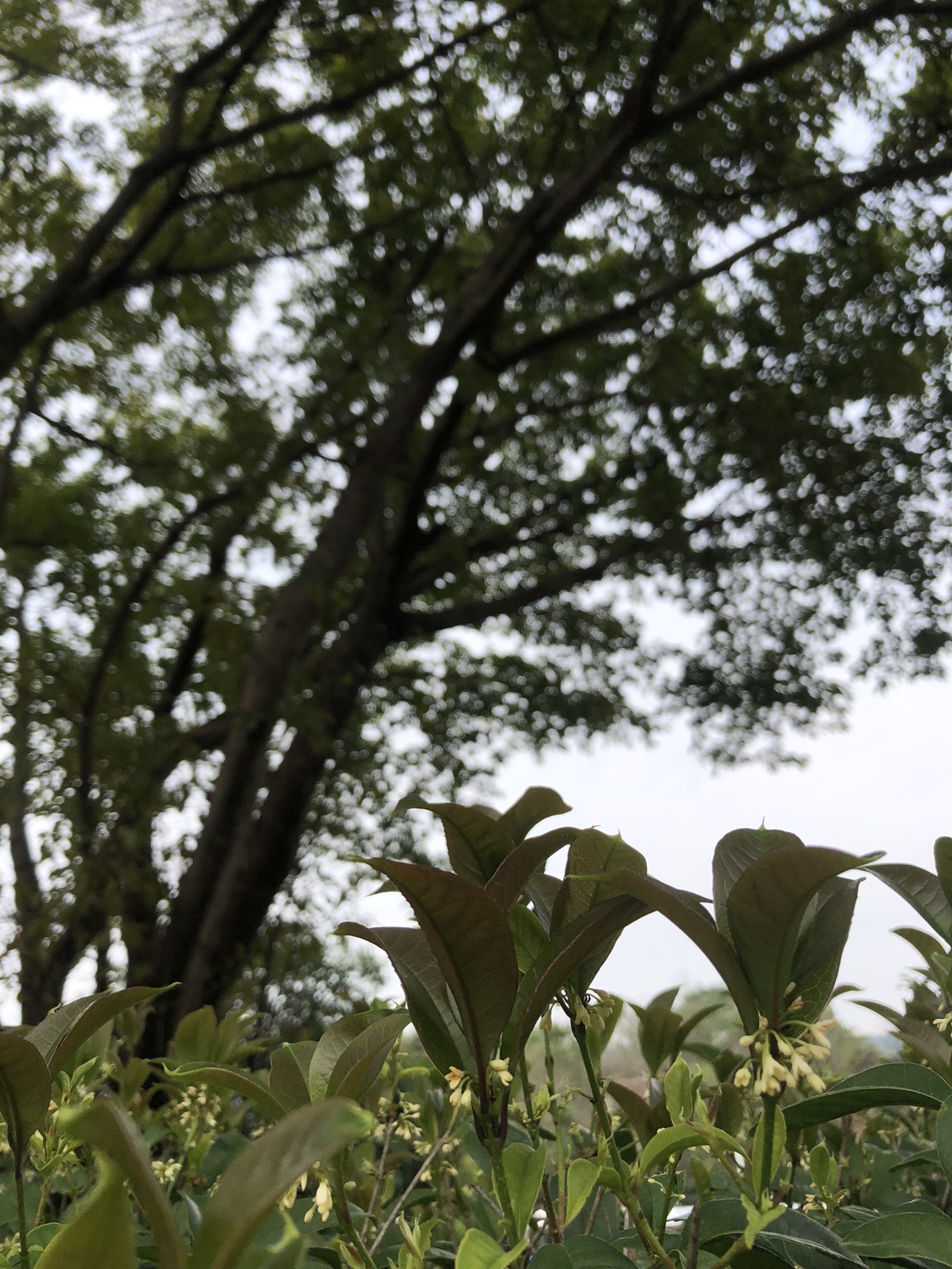 贺州温泉旅行图片 1