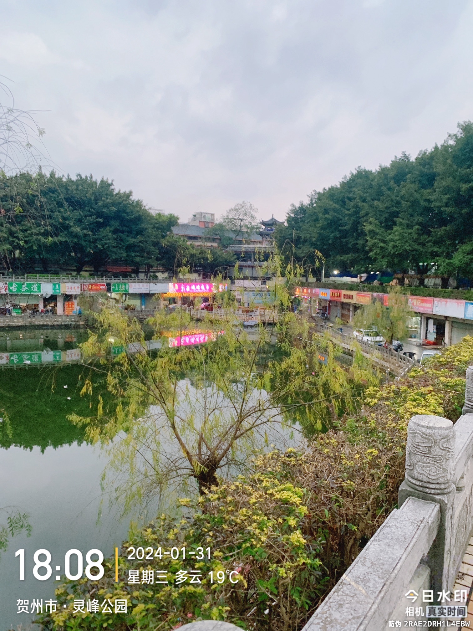 灵峰广场旅行图片 1