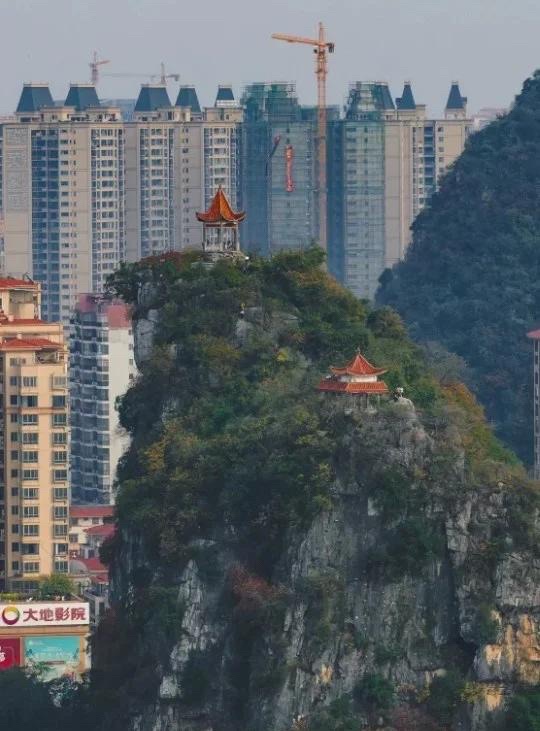 灵峰广场旅行图片 1