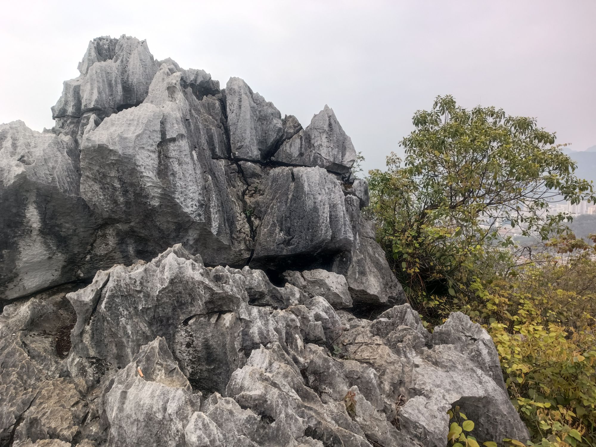 大钟山旅行图片 2