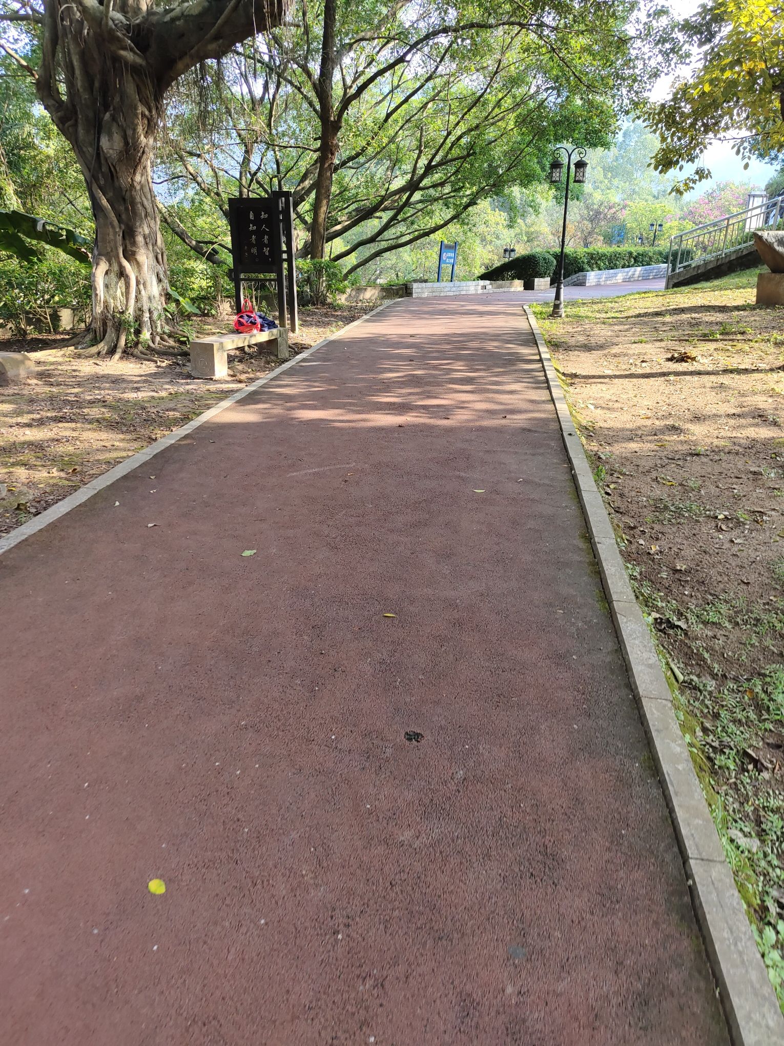 宝塔公园旅行图片 2