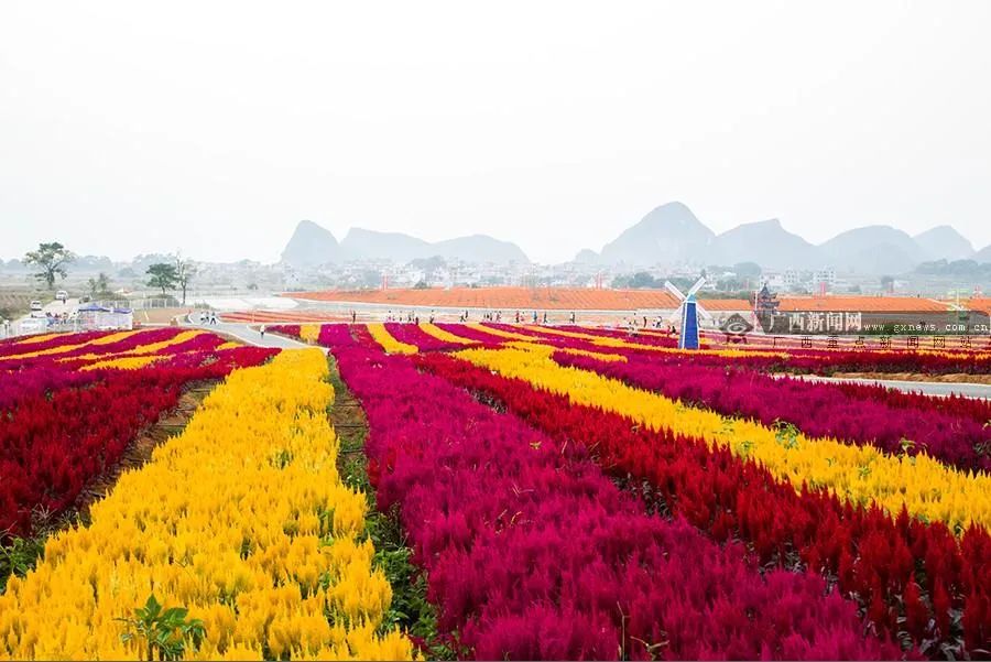 富川神仙湖景区旅行图片 3