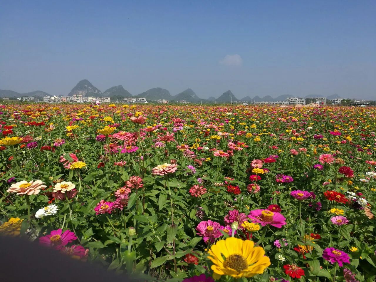 富川神仙湖景区旅行图片 2