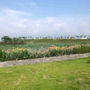 富川神仙湖景区旅行图片 1