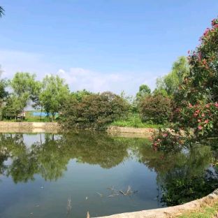 富川神仙湖景区旅行图片 3