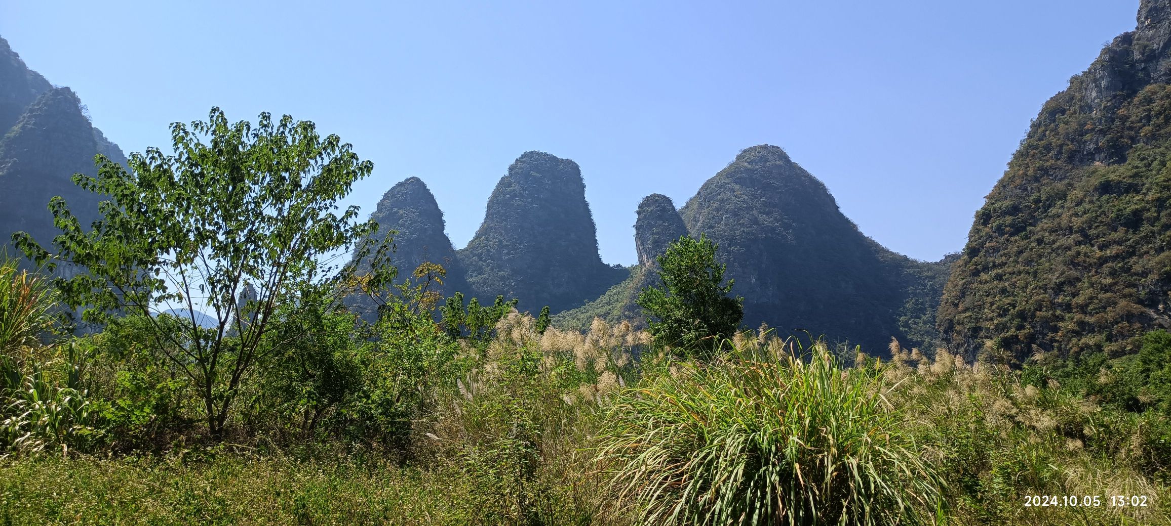 钟山水墨田园旅行图片 2
