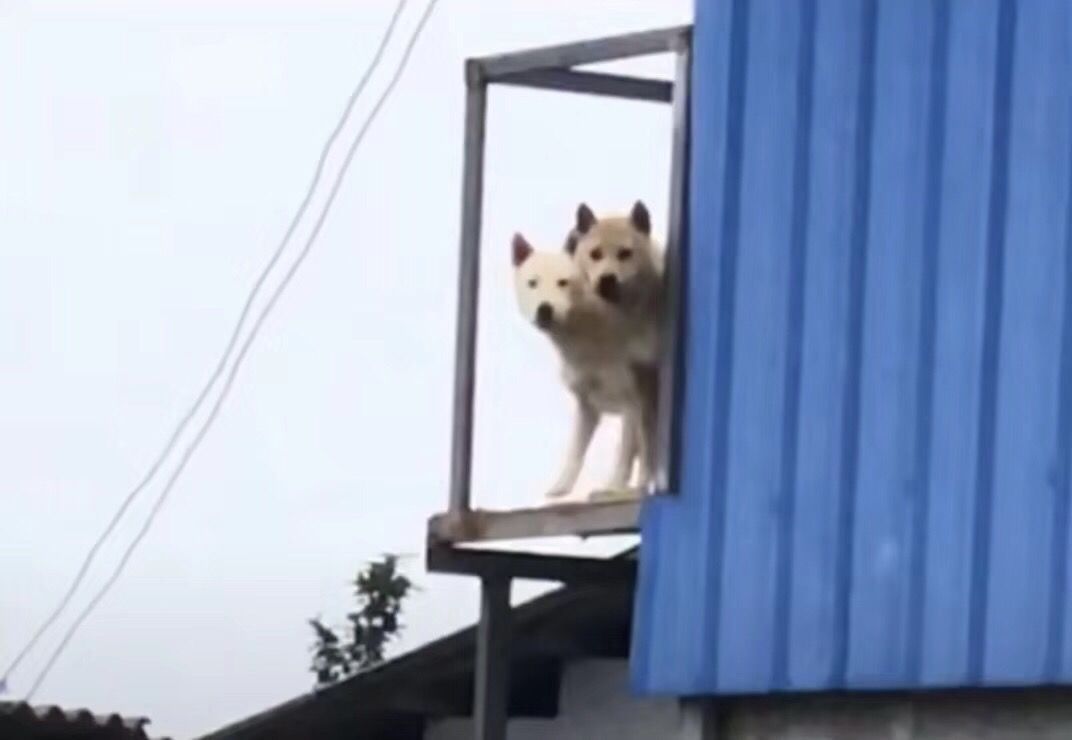 民田景区旅行图片 2