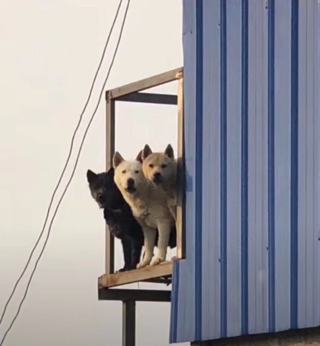民田景区旅行图片 3