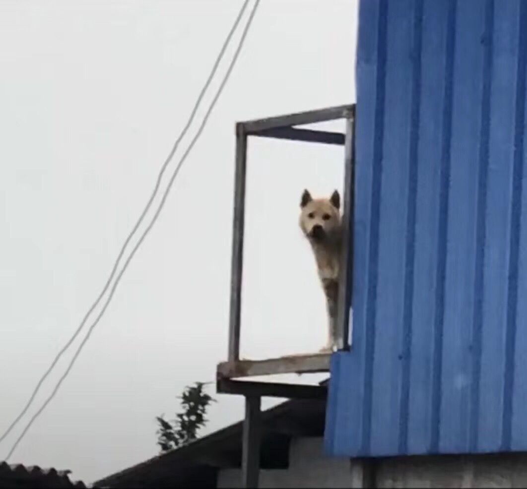 民田景区旅行图片 1
