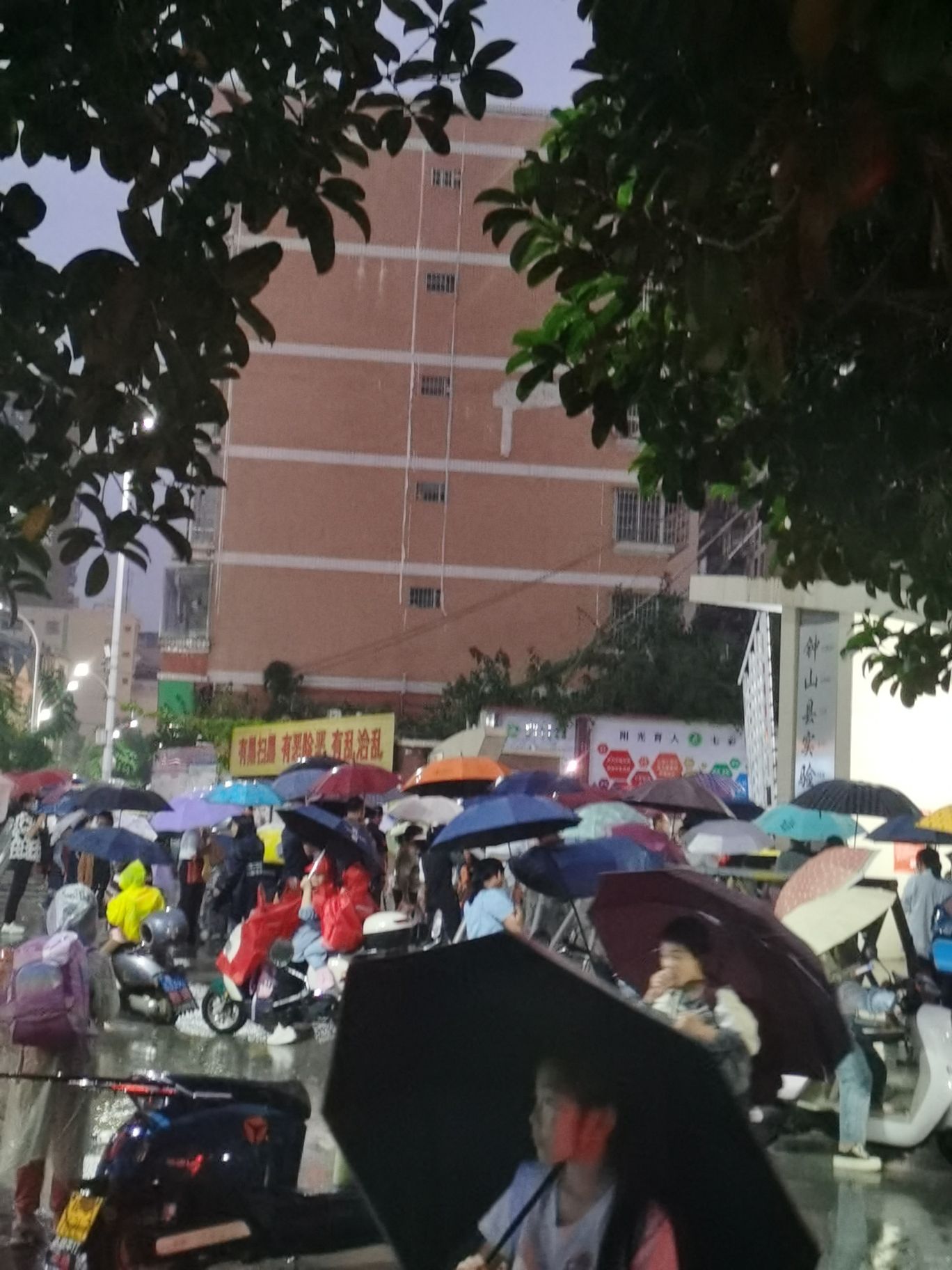 钟山县实验小学
