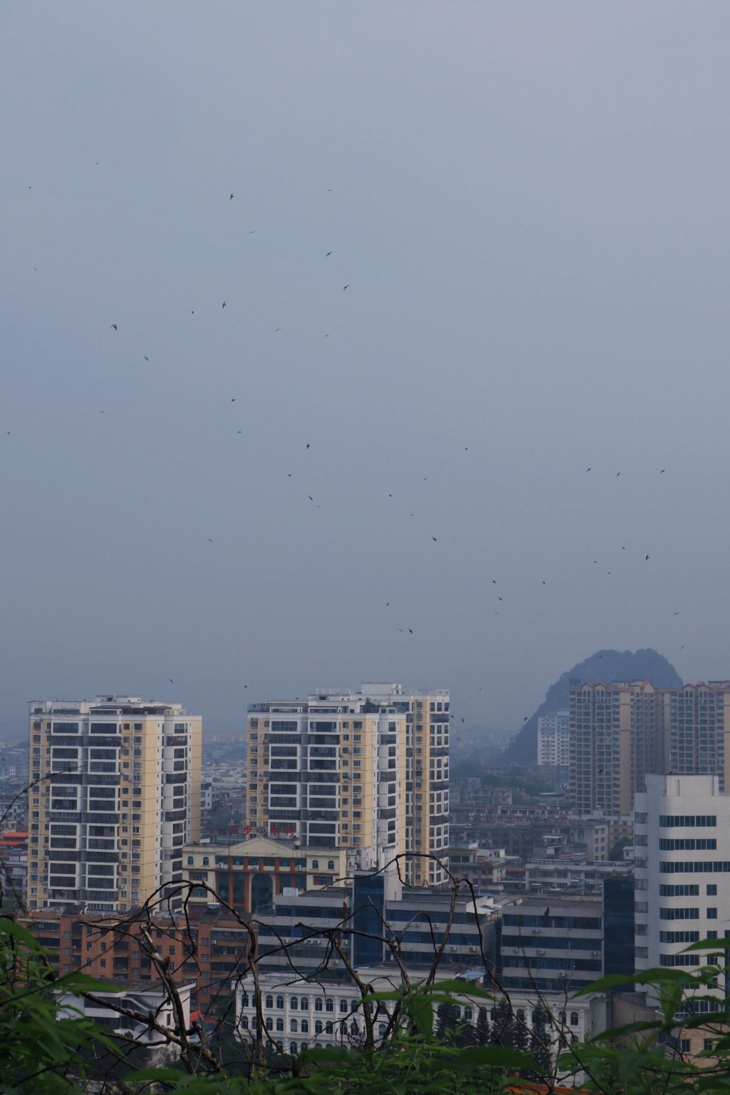 灵峰公园旅行图片 3
