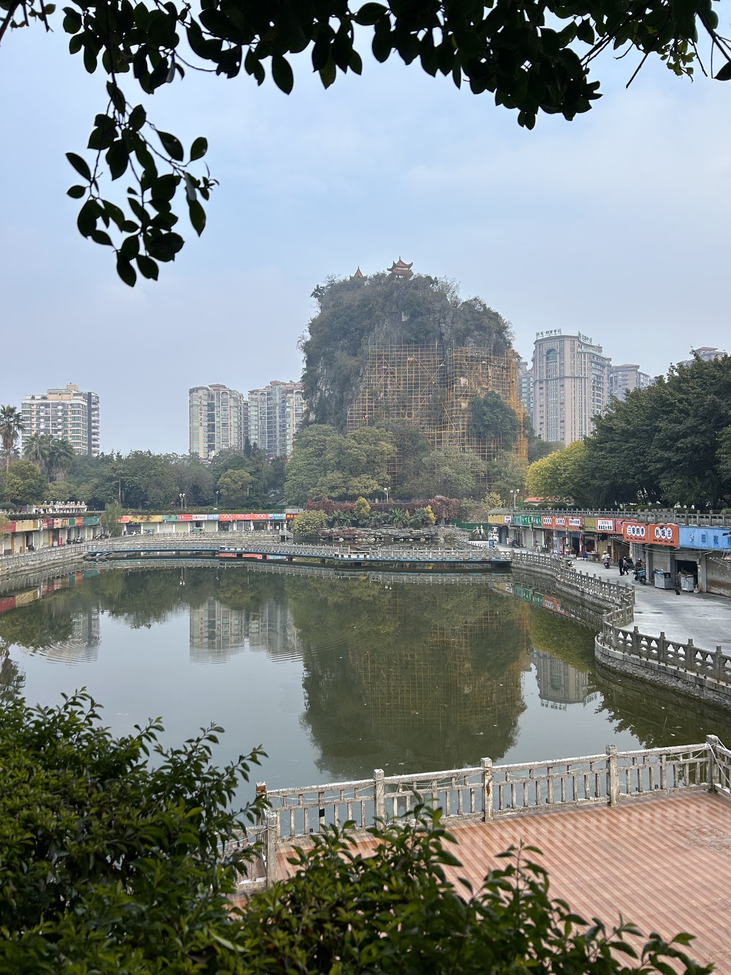 灵峰公园旅行图片 1