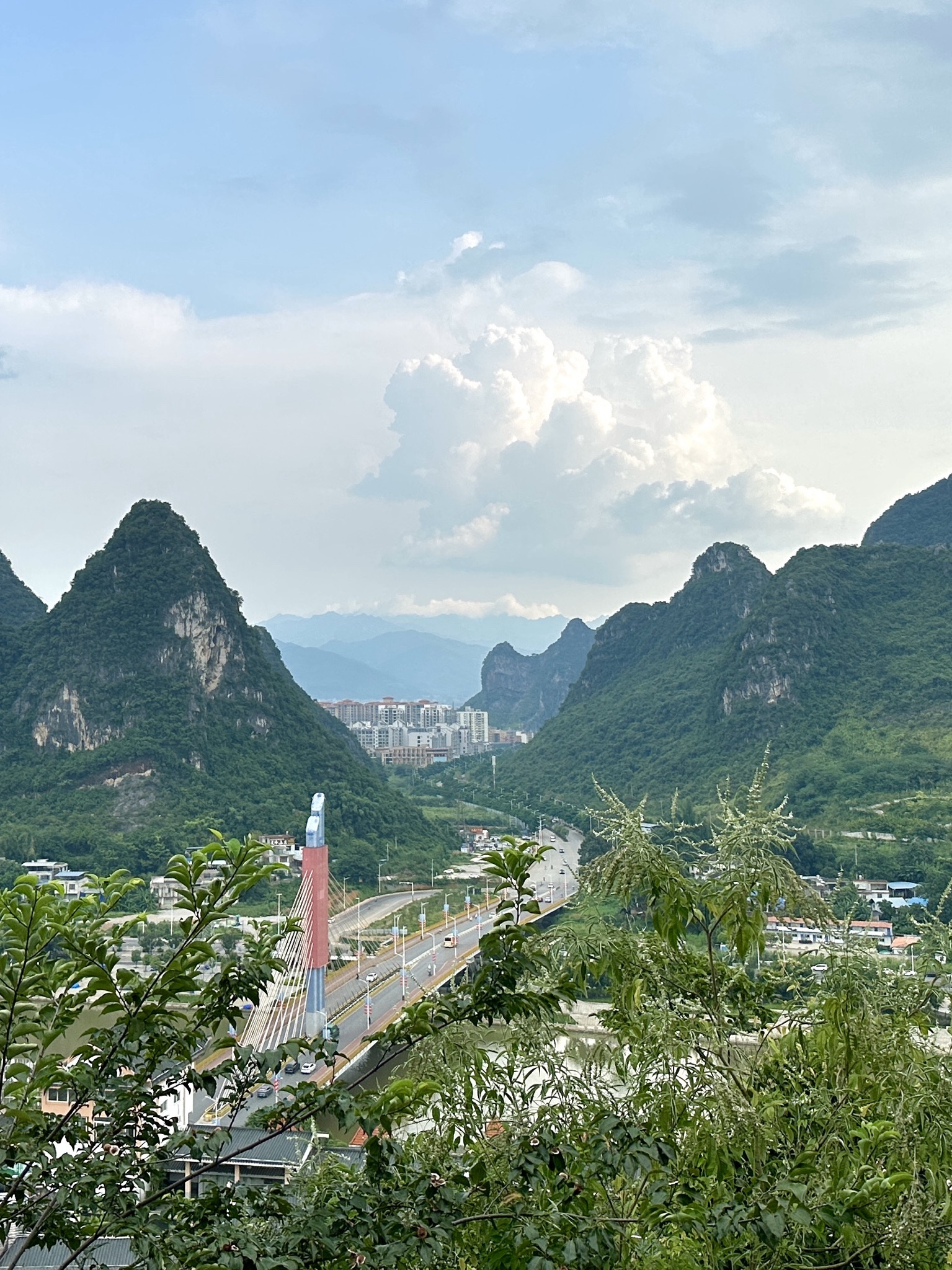 灵峰公园旅行图片 2