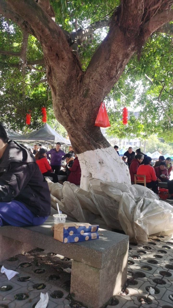 昭平文化广场旅行图片 2