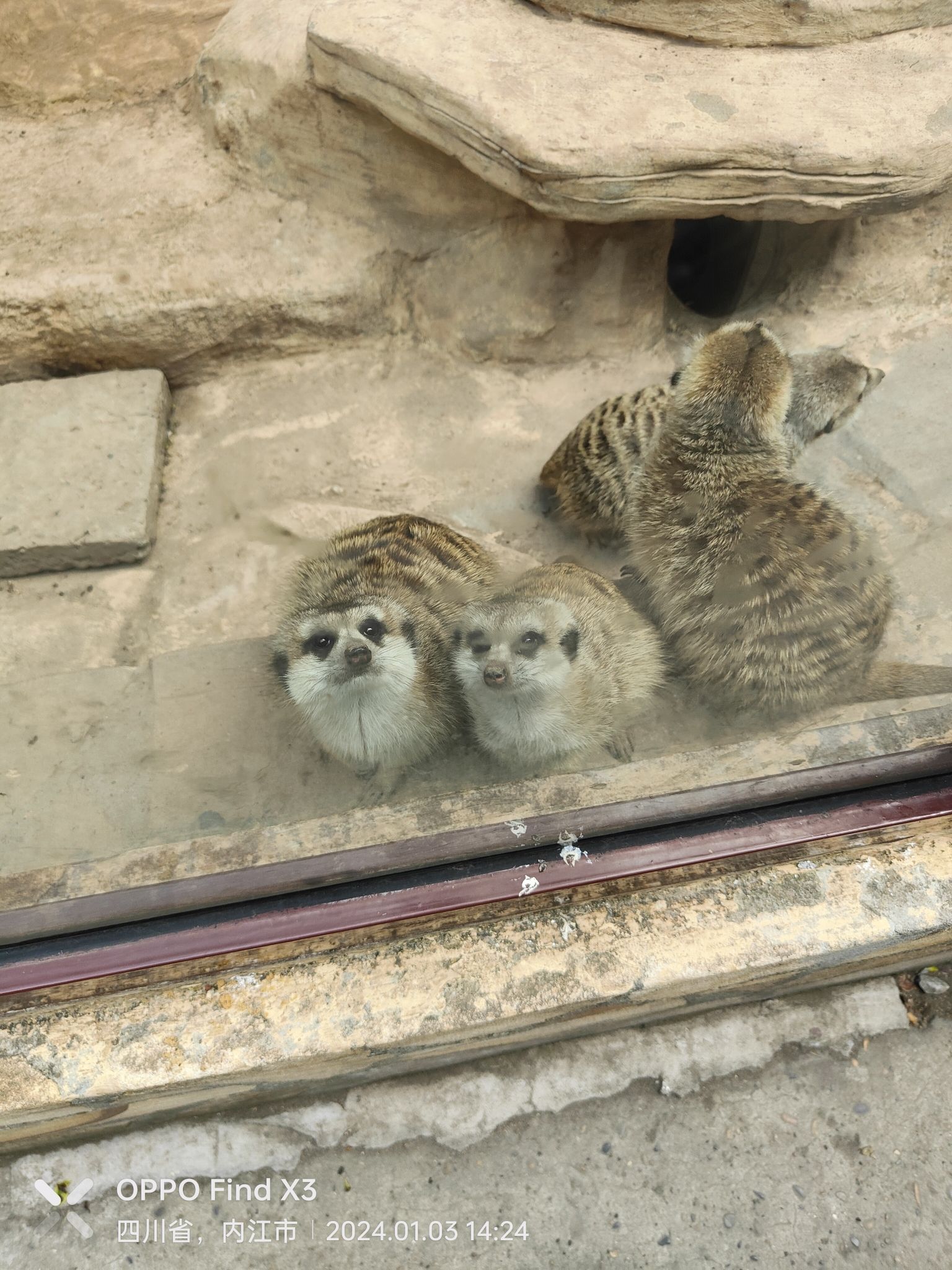 人民公园旅行图片 3
