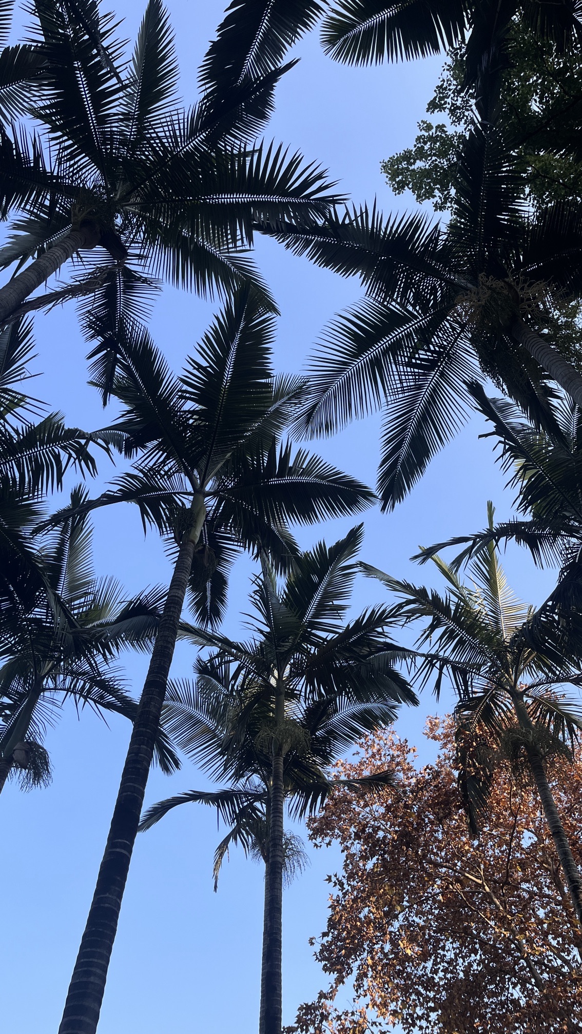 人民公园旅行图片 1
