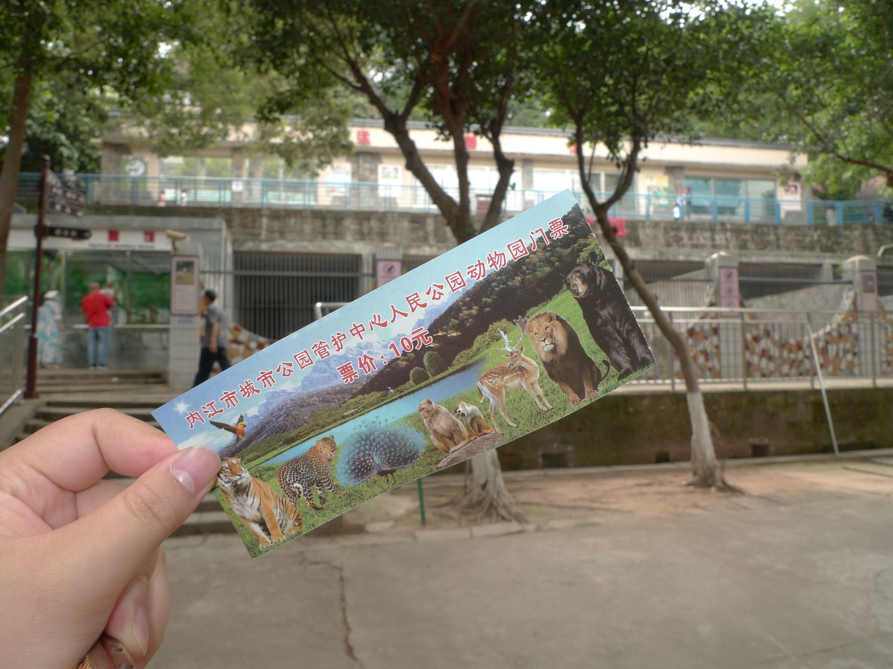 人民公园旅行图片 2