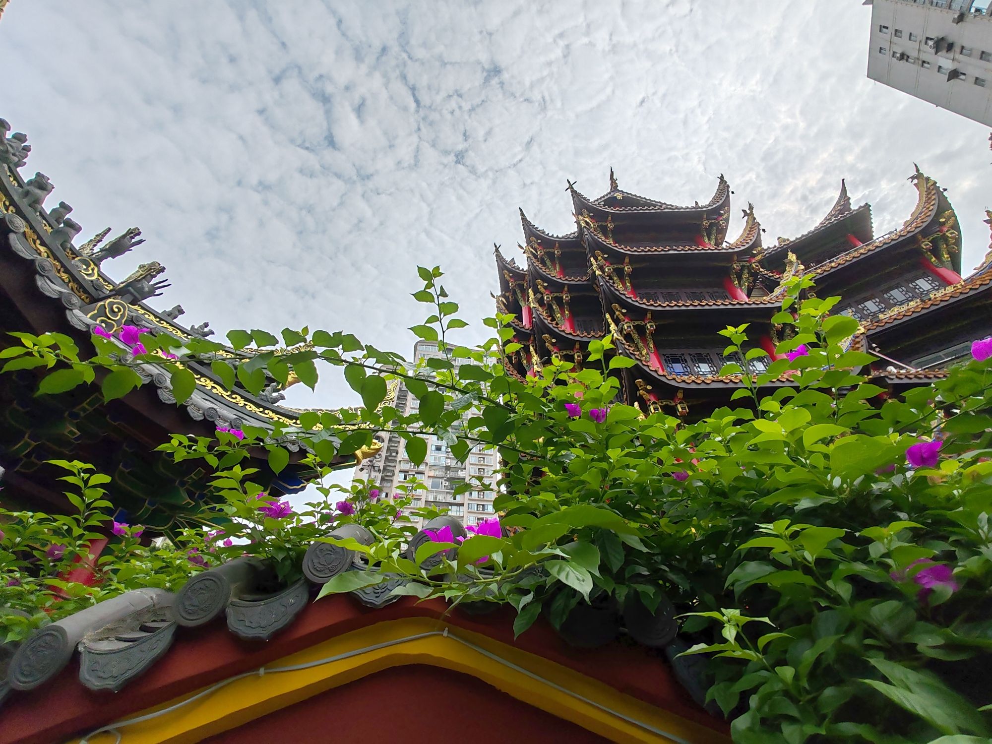 大千广场(暂停开放)旅行图片 3