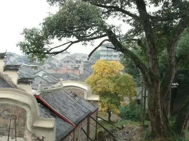 铁佛镇旅行图片 3